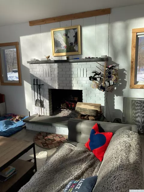 121 Thunderbird Ter, Windham, NY 12496 photo 5