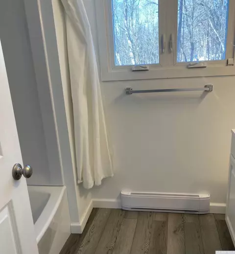 117 Thunderbird Ter, Windham, NY 12496 photo 13