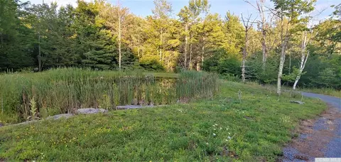 54 Pheasant Ln, Windham, NY 12496 photo 20