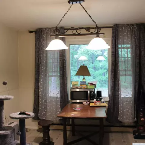 110 Birch St, Cairo, NY 12413 photo 3