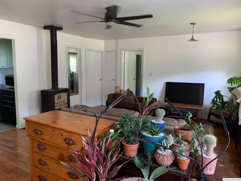 4 First St, Catskill, NY 12414 photo 6