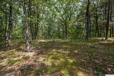 75 Sullivan Mountain Rd, Catskill, NY 12414 photo 16