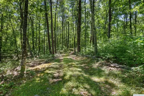 75 Sullivan Mountain Rd, Catskill, NY 12414 photo 21
