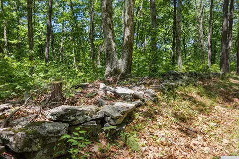 75 Sullivan Mountain Rd, Catskill, NY 12414 photo 18