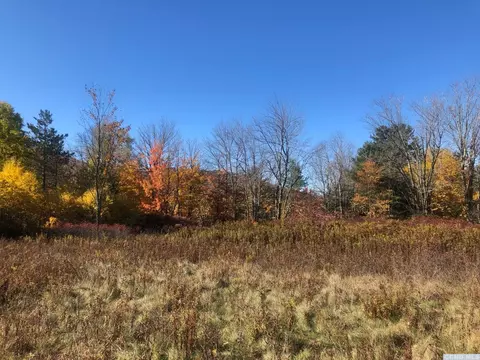 61 Old Rd, Windham, NY 12496 photo 37