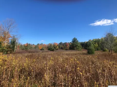 61 Old Rd, Windham, NY 12496 photo 10