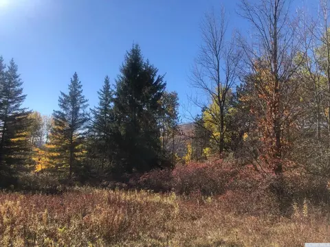 61 Old Rd, Windham, NY 12496 photo 38
