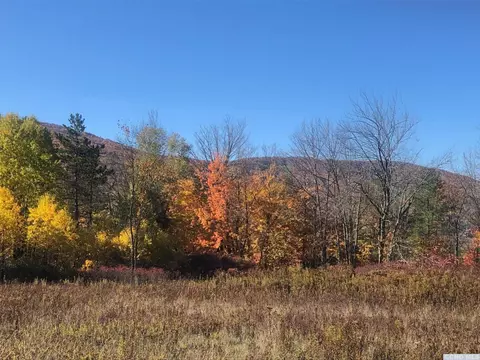 61 Old Rd, Windham, NY 12496 photo 4