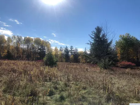 61 Old Rd, Windham, NY 12496 photo 36