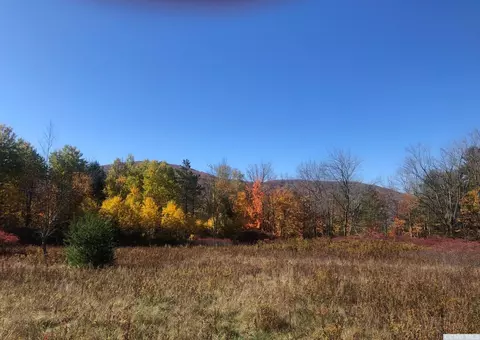 61 Old Rd, Windham, NY 12496 photo 6