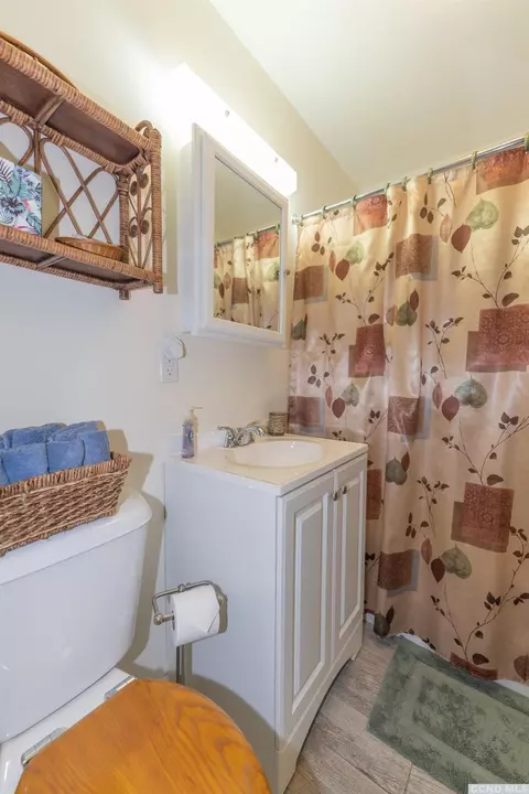 43 Durso Loop, Acra, NY 12405 photo 27