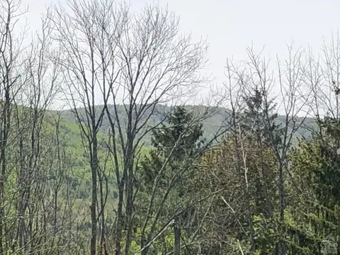 34 2 Old Rd, Windham, NY 12496 photo 41