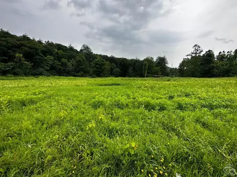 0 Cauterskill, Catskill, NY 12414 photo 2