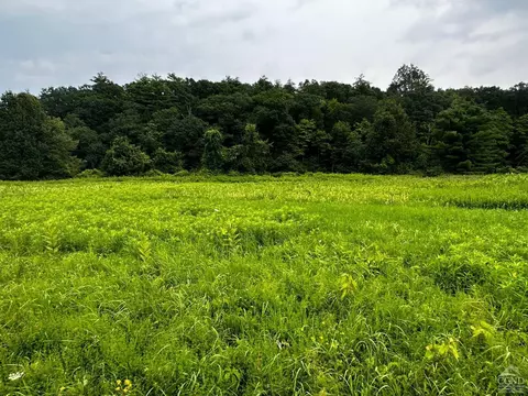 0 Cauterskill, Catskill, NY 12414 photo 7