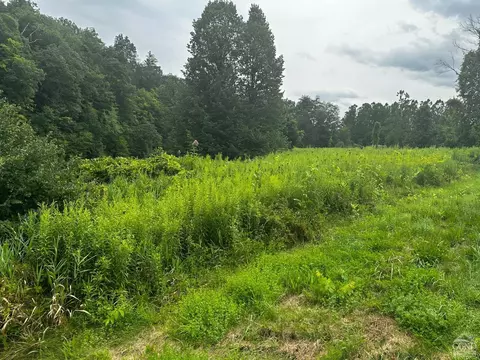 0 Cauterskill, Catskill, NY 12414 photo 6