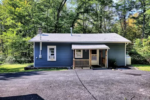 384 Canniff Rd, Cairo, NY 12413 photo 63