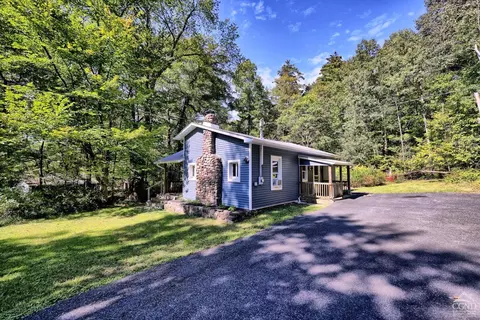 384 Canniff Rd, Cairo, NY 12413 photo 58