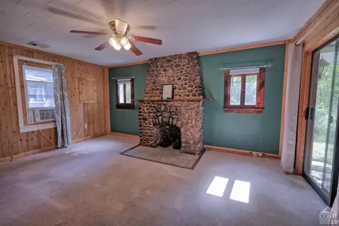 384 Canniff Rd, Cairo, NY 12413 photo 20