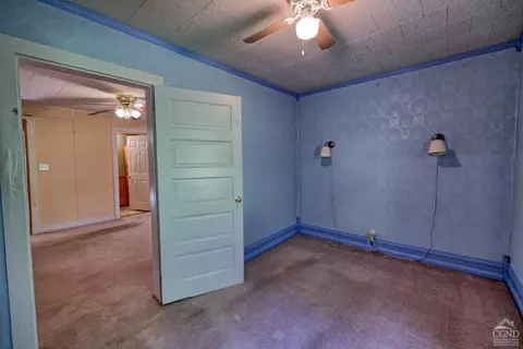 384 Canniff Rd, Cairo, NY 12413 photo 27
