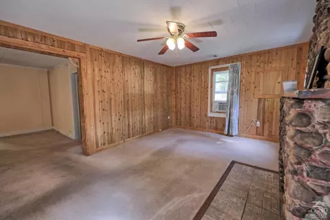 384 Canniff Rd, Cairo, NY 12413 photo 22