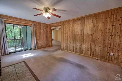 384 Canniff Rd, Cairo, NY 12413 photo 21