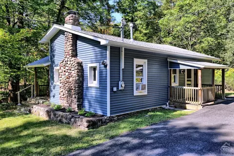 384 Canniff Rd, Cairo, NY 12413 photo 67