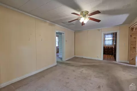 384 Canniff Rd, Cairo, NY 12413 photo 26