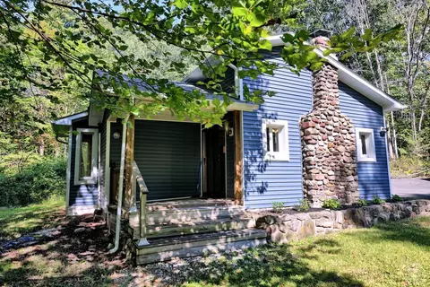 384 Canniff Rd, Cairo, NY 12413 photo 69