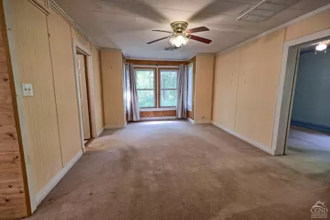 384 Canniff Rd, Cairo, NY 12413 photo 23