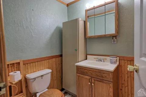 384 Canniff Rd, Cairo, NY 12413 photo 31