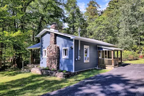 384 Canniff Rd, Cairo, NY 12413 photo 60