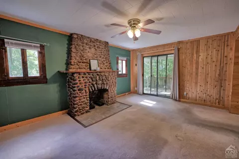 384 Canniff Rd, Cairo, NY 12413 photo 19