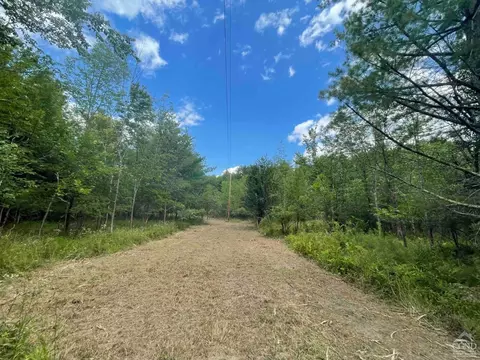 0 Sherwood Forest Rd, East Durham, NY 12423