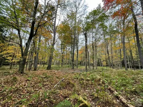 0 Mount Hope Rd, Bethel, NY 12783