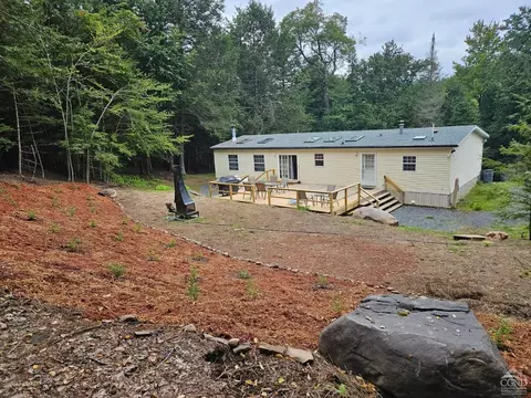 314 Bloomer Rd, Hunter, NY 12442 photo 3