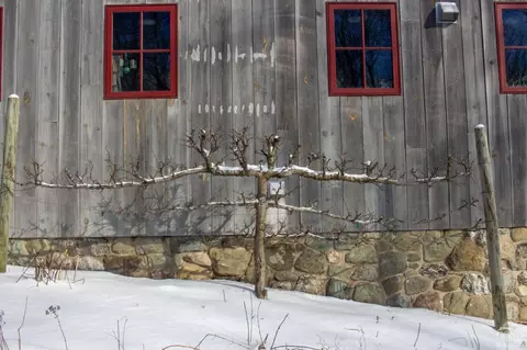 205 E Hill Rd, Austerlitz, NY 12017 photo 20