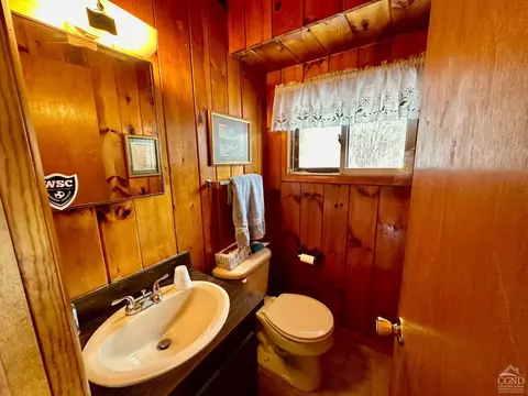 910 Rt 10 Rd, Windham, NY 12496 photo 20