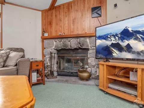 733 Potic Mountain Rd, Catskill, NY 12414 photo 7