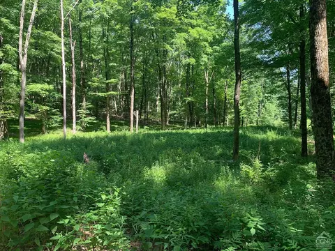 0 Ridge Ln, Hillsdale, NY 12529