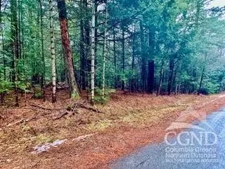 0 Stewart Dr, Windham, NY 12496 photo 8