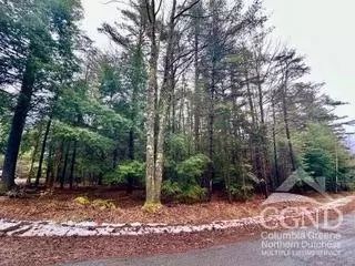 0 Stewart Dr, Windham, NY 12496 photo 10