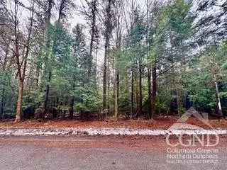 0 Stewart Dr, Windham, NY 12496 photo 11