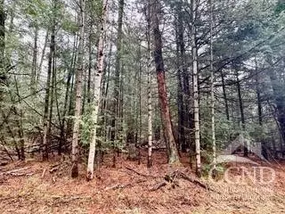0 Stewart Dr, Windham, NY 12496 photo 9