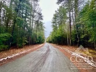 0 Stewart Dr, Windham, NY 12496 photo 6