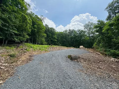 0 Eisenhardt Loop, Cairo, NY 12413 photo 5