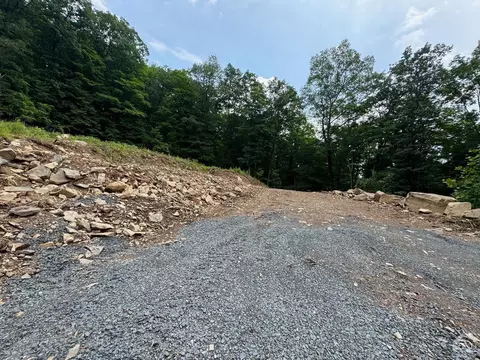0 Eisenhardt Loop, Cairo, NY 12413 photo 3