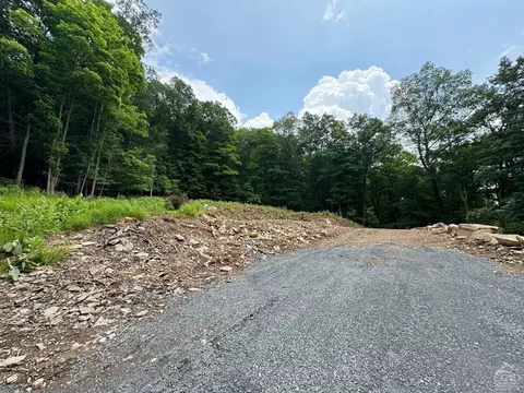 0 Eisenhardt Loop, Cairo, NY 12413 photo 6