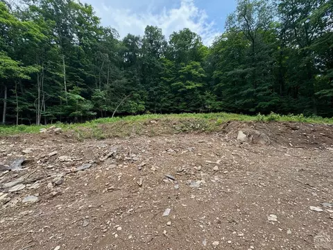 0 Eisenhardt Loop, Cairo, NY 12413 photo 11