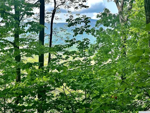 0 Eisenhardt Loop, Cairo, NY 12413 photo 2