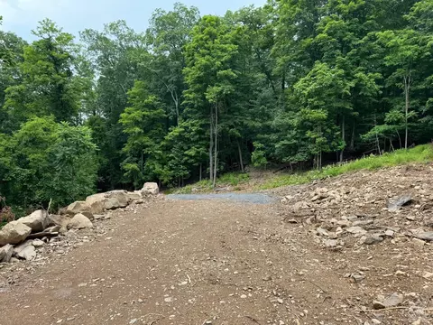 0 Eisenhardt Loop, Cairo, NY 12413 photo 8